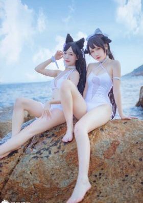 细狗网页版登录入口_DVD免费全集观看